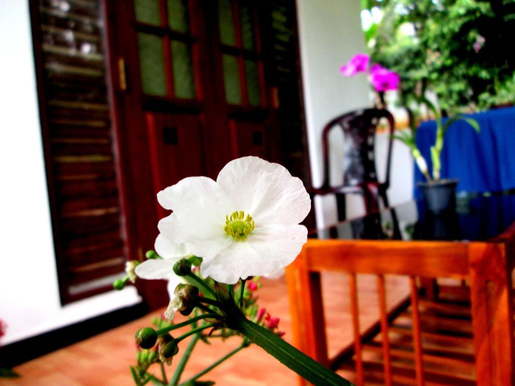 Ranga Villa Hikkaduwa Ngoại thất bức ảnh